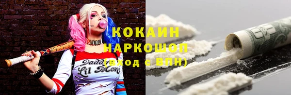 мет Няндома