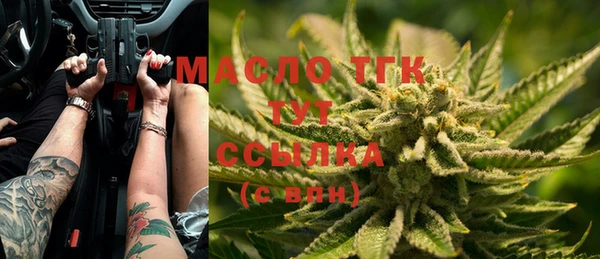 мет Няндома