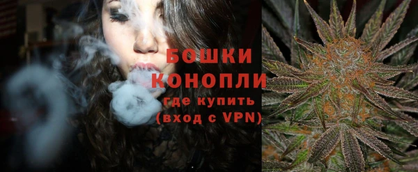 мет Няндома
