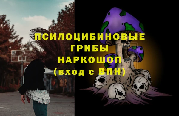 мет Няндома
